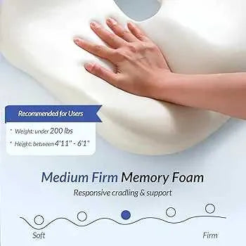 Pioneering Ergonomic Seat Cushions